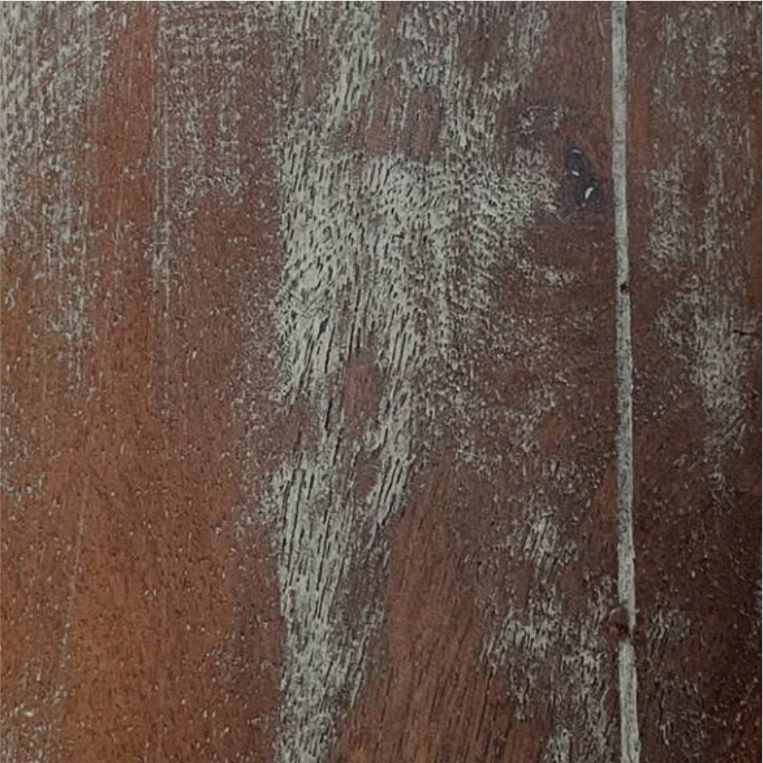 MANGO WOOD