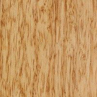 STAIN